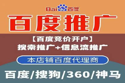 某行业SEM竞价策略的运营实践与效果